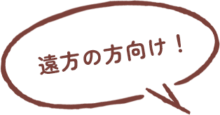 遠方の方向け！